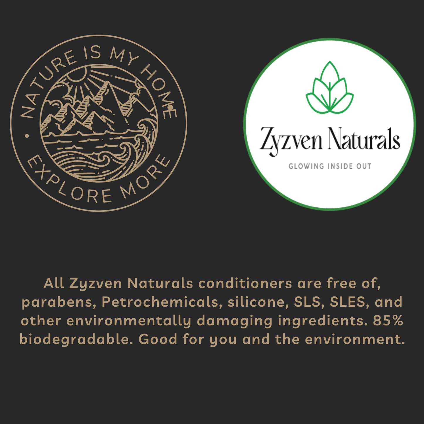 Ginger Conditioner | Organic Botanical Conditioner for Healthy Hair & Scalp