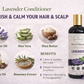 Lavender Conditioner (300ml) | Organic Moisturizing Conditioner with Lavender, Aloe Vera & Shea Butter